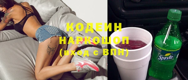 дурь Шенкурск