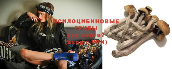 MESCALINE Няндома