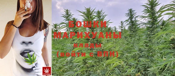 бутират Нягань