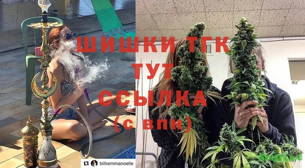 крисы Новокубанск