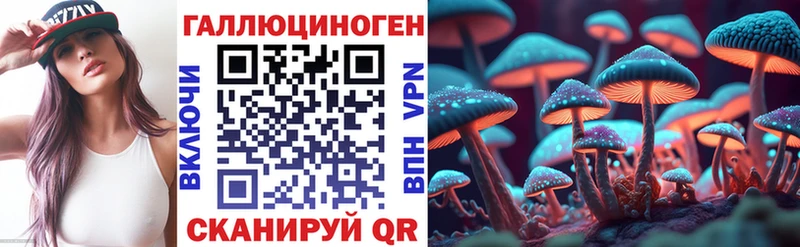 купить наркотики сайты  Воронеж  Псилоцибиновые грибы GOLDEN TEACHER 