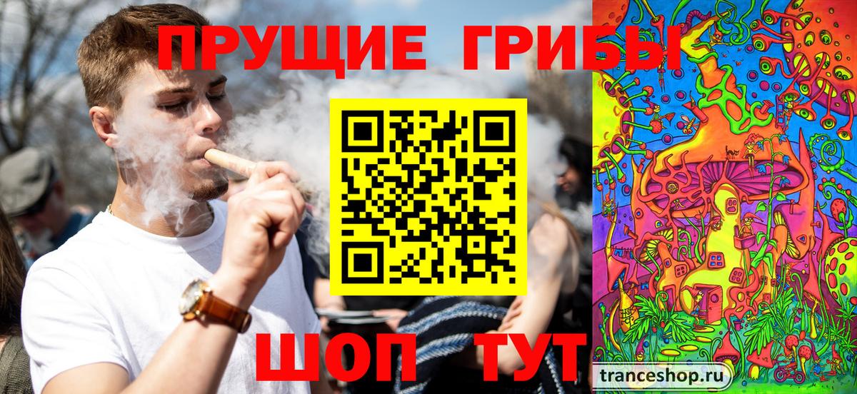 Галлюциногенные грибы MAGIC MUSHROOMS  Псилоцибиновые грибы ЛСД  Воронеж  Вход с VPN 