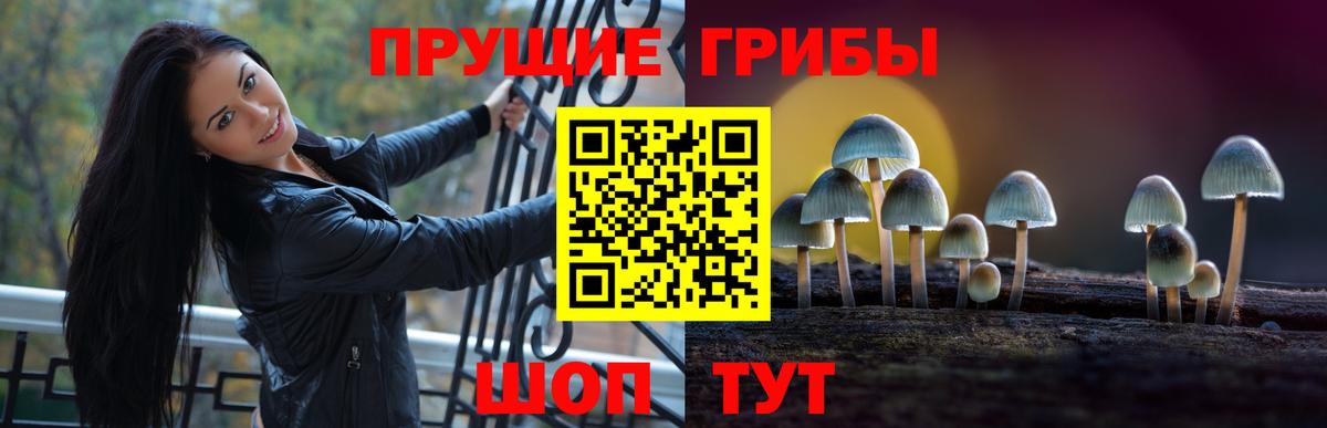 Псилоцибиновые грибы Cubensis Воронеж