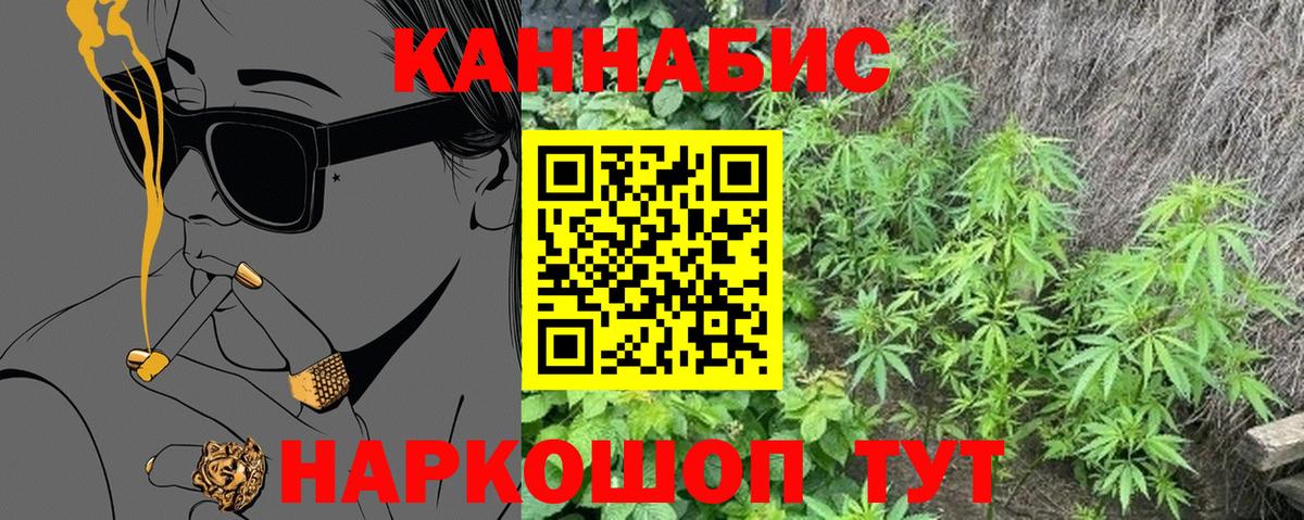 Каннабис индика Воронеж